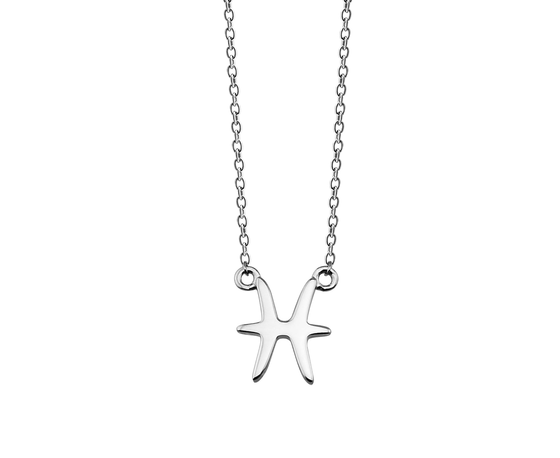 Vissen Ketting Zilver ZN003S-0